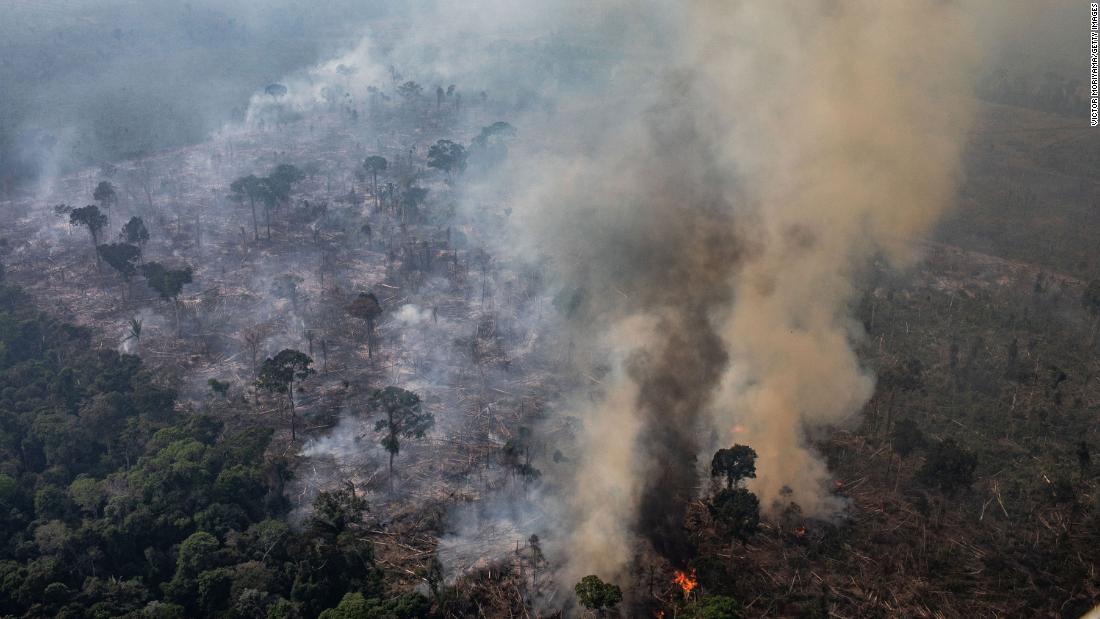 https://www.cnn.com/2019/11/19/americas/brazil-deforestation-amazon-2019-trnd/index.html