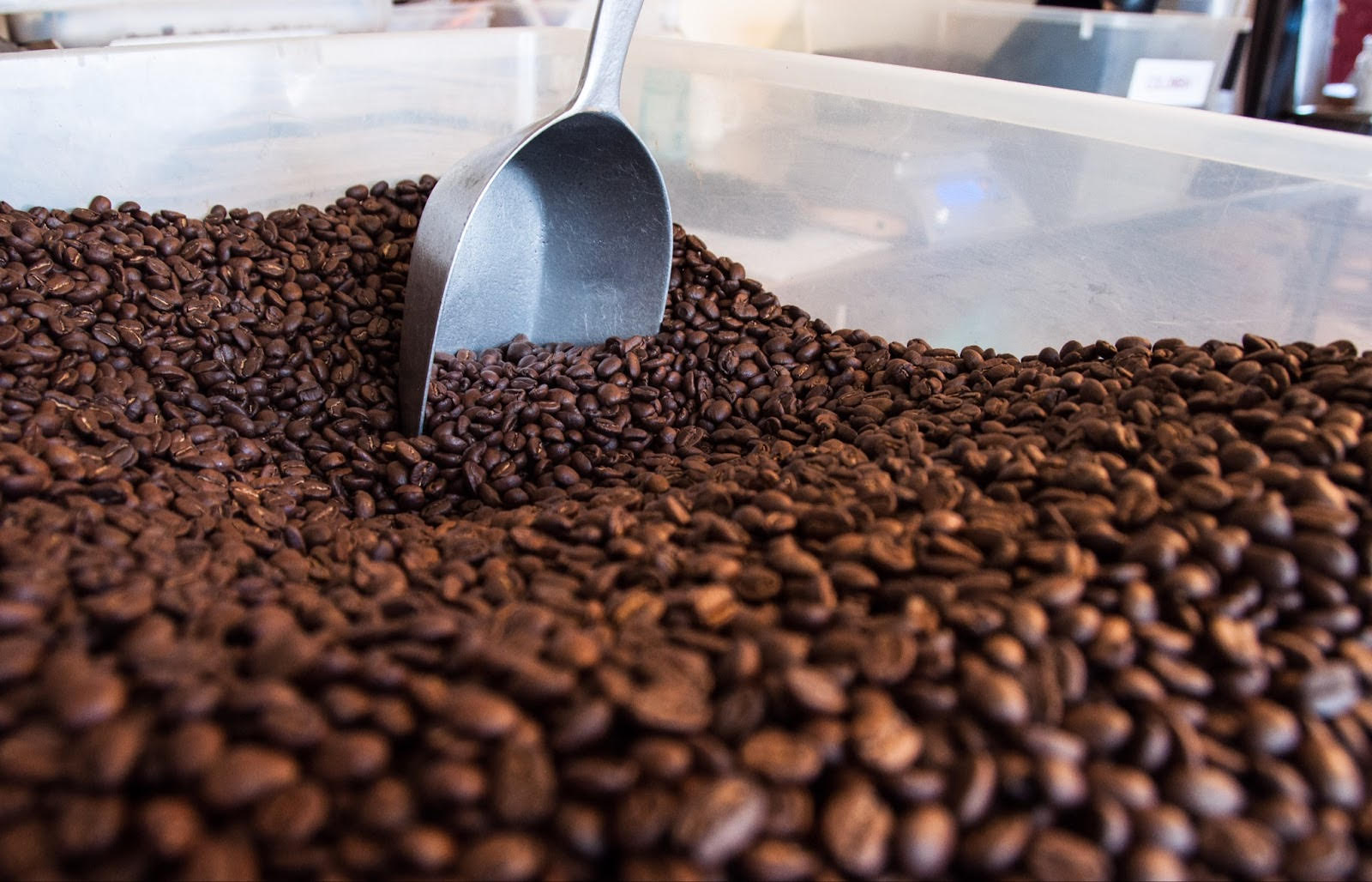 Brewing the Perfect Cup at Home: Tips for the Coffee Curious