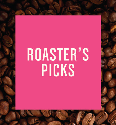 Roaster&#39;s Curated Picks | Gift Coffee Subscription
