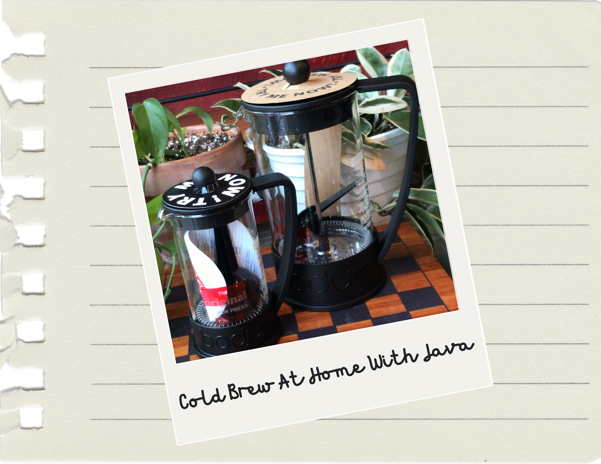 How to Make Cold Brew at Home Using a French Press