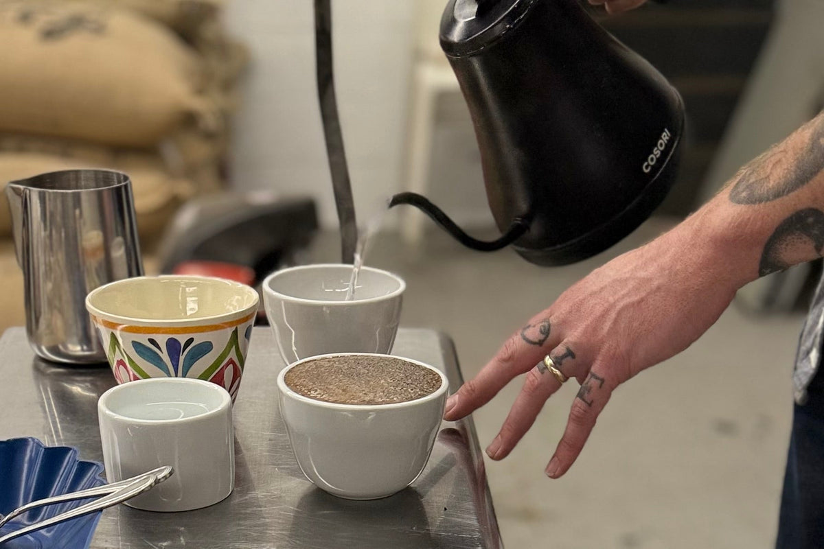 Inside the Roastery: How Cupping Helps Us Craft the Perfect Cup – Java ...
