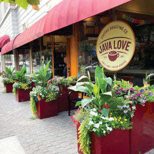 Java Love Coffee Shop - Montclair, New Jersey – Java Love Coffee